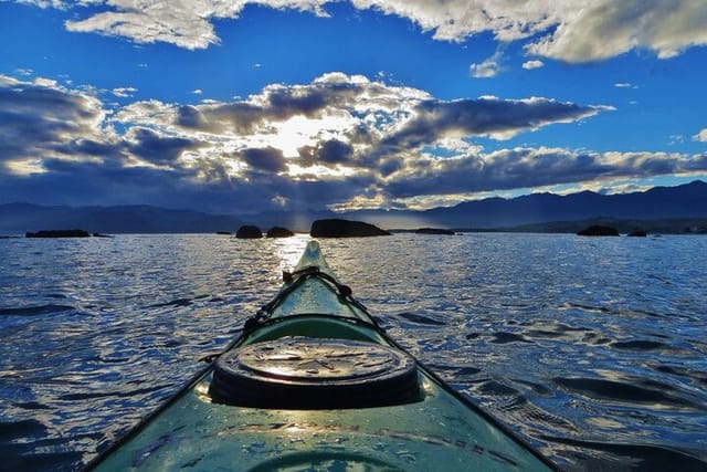 Kaikoura Day Tour With Kayak Experience From Christchurch - Photo 1 of 12